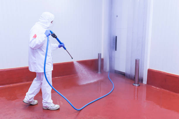 Best Sidewalk and Walkway Cleaning  in Bassett, VA